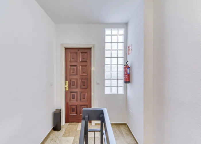 In With Terrace Views